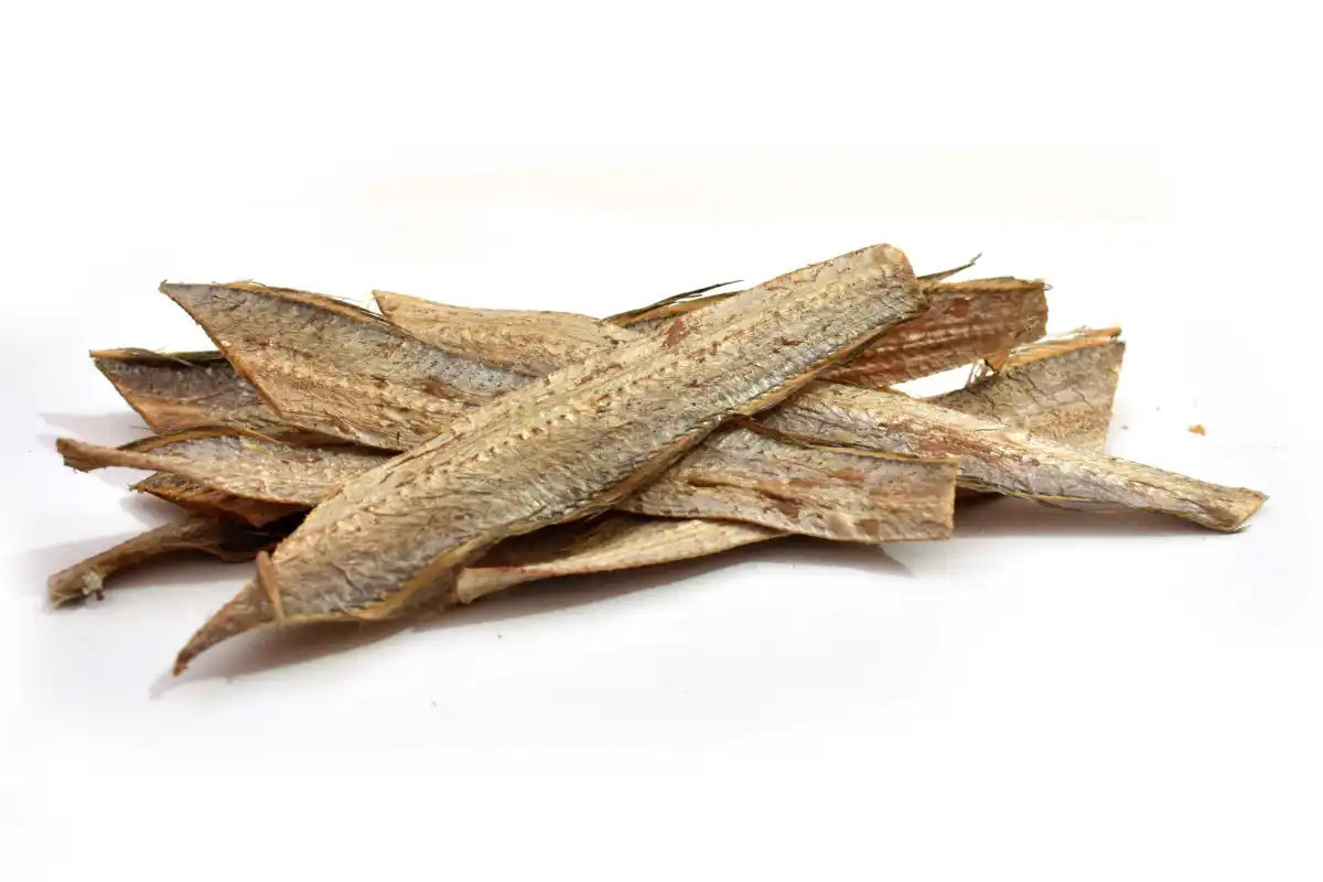 Ribbon Fish