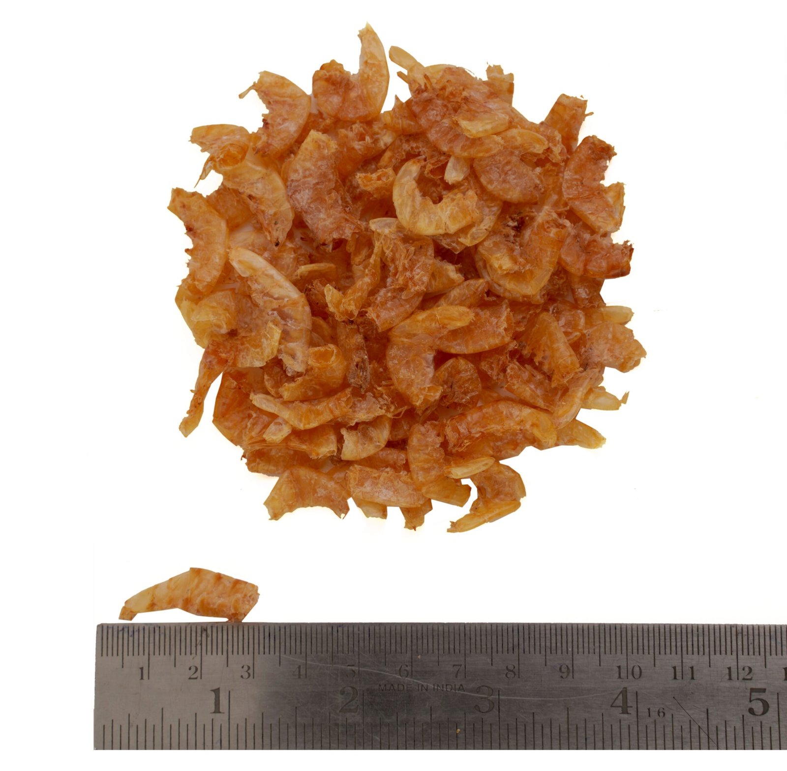 Dry Large Shrimp Cleaned Scale1